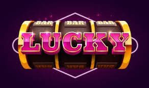 66bet3333